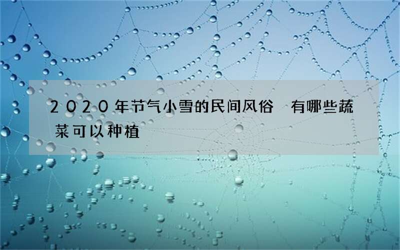 2020年节气小雪的民间风俗 有哪些蔬菜可以种植